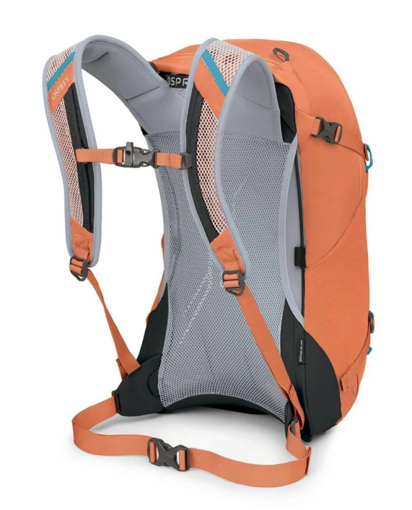 ⁦תיק יום Osprey HikeLite 26 - new 2025⁩ – תמונה ⁦11⁩