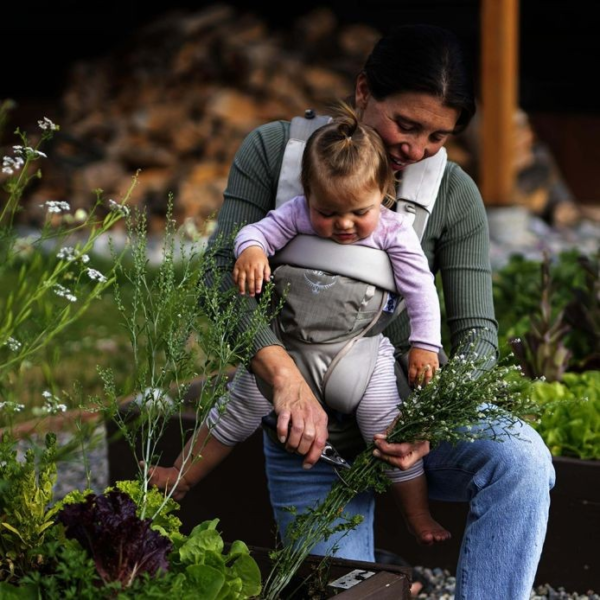 ⁦מנשא חזה לתינוק לטיולים POCO™ Soft Child Carrier LT⁩ – תמונה ⁦6⁩